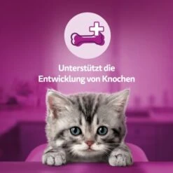 Whiskas Snacks Milch-Kätzchen 8x55g -Trixie Deutschland Verkaufs-Shop d40f803902d594769f1e87f889e3ed602e69b52a 1335585 de DE Whiskas 1