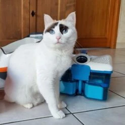 THOMAS Staubsauger 14 THOMAS Staubsauger -Trixie Deutschland Verkaufs-Shop d74e3cdb93ec3dcec33da8a346880210d1823b1e 1406733 de DE 817045830cc32e31da1f6ec74c9727ecafc6b086XIONN0