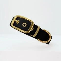 THE DOG IDEA Biothane Halsband Gold Schwarz XS -Trixie Deutschland Verkaufs-Shop d9e3ff0533f005d4ea9574e709549404fe1017df 1655410 de DE e623b6a0565fba7c060dba5e6a356eabf0949a0ex5afTX