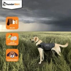Thundershirt Beruhigungsweste Grau XS -Trixie Deutschland Verkaufs-Shop dba829e1909f5c4f6710e4085b27664b9bf6ac3e 1102942 2