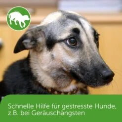 ADAPTIL Chew 30 Stück Anti Stress Snack -Trixie Deutschland Verkaufs-Shop dd1f44620defd2e7a86c6271361fb23975f08b2f 1374744 3