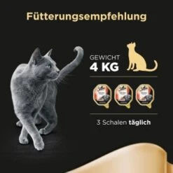 Sheba Selection In Sauce 22x85g Mit Rinderhäppchen -Trixie Deutschland Verkaufs-Shop df37dc46181a88a1be6d8d9d2f7654156a5e7d19 4ad6dfb0c0d06f33126b23464dd4c1bdf61f6abc