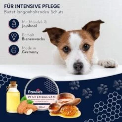 Pawlie's Pawlie’s Pfotenpflege Balsam 50ml -Trixie Deutschland Verkaufs-Shop dff8eede6b1589d7d2a5775a840ff7832fbfb1eb 1626200 de DE 4365dffd6d422f328ede6af1afc9d14128ef1417GSYele