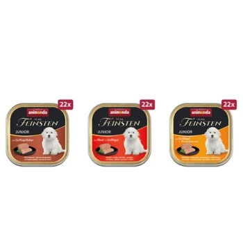 Animonda Vom Feinsten Junior Megapack 66 X 150 G 1 Animonda Vom Feinsten Junior Megapack 66 X 150 G