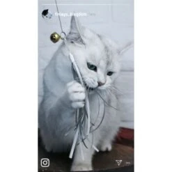 Kater Kasimir Premium Katzenangel Mit 4 Handgemachten Anhängern Aus Naturmaterial -Trixie Deutschland Verkaufs-Shop e6fe48d27b82d48675d665ee2a143e3c11de2fd9 1408150 de DE b29a5f7f2530ce6388e16e2600369d70b2ec0350kYn6B8