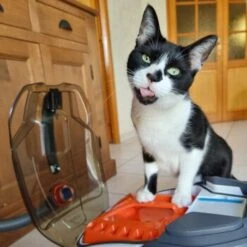 THOMAS Staubsauger 16 THOMAS Staubsauger -Trixie Deutschland Verkaufs-Shop e924a64d06d1776c60effa6ed643bd7a6c20fdca 1406733 de DE 08e20bea72feee79416abcd48fd6e6a61e2fc6eav4kQrJ