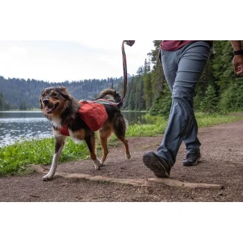 Ruffwear Front Range™ Hundetagesrucksack Rot XS 8 Ruffwear Front Range™ Hundetagesrucksack Rot XS – Bild 8
