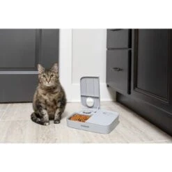 PetSafe Futterautomat Für 2 Mahlzeiten -Trixie Deutschland Verkaufs-Shop ecfa45428902a757dc7016a44357eeb1f8b25a89 1343837 6