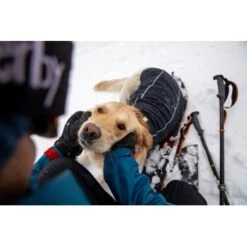 Ruffwear Cloud Chaser™ Hundejacke -Trixie Deutschland Verkaufs-Shop f46c67f8b7243d976f998e1877675b56fc87eab2 1369625 de DE 51d1c132eb566a7eb9e278708f64567d4e47a10epBiJRc