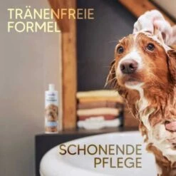 Pawlie's Welpenshampoo -Trixie Deutschland Verkaufs-Shop f56801adb1bee6d0b5fdd328d641fa773ce5d4c4 1626204 de DE 7b87b87a2e48e8c0e12b98c918c4d75b538aae40E5TfEc