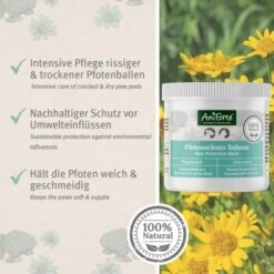 Aniforte Pfotenschutz Balsam 120ml Sommer & Winter -Trixie Deutschland Verkaufs-Shop f6352728d2d295839a5f9bac2123e02ea5cfd66d 1480491 de DE b4b6382b0452d366b3ffc33798d9e5be379c6ee9yrOk4E