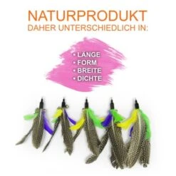 Schlitzohr Katzenangel Federanhänger 5x -Trixie Deutschland Verkaufs-Shop f6a96b93601c3b2f6f7420ade3ecfe56542cca74 1484675 de DE b1d2fd29ad67016b9a6af908251d348edfa467f2BG8aWR