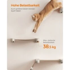 FEANDREA Clickat Katzenmöbel 3er Set, Für Die Wand -Trixie Deutschland Verkaufs-Shop f7aff5070c5f1b9dc5bbdf24e5f94b30ab6bcc4a 1681459 de DE 2162716de0a1552ee6b9cb18bfa03d352c2b2eebcymJF2
