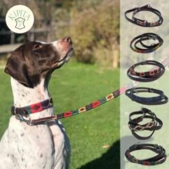 Kipita Polo Hundeleine Classic 9 Kipita Polo Hundeleine Classic -Trixie Deutschland Verkaufs-Shop f86aae5f01ccb0fa2be4e64b3698130c3af93e02 1410955 de DE 0bc8d688bd07984d484eea2e3dc3f790086fea45s1x5Vw