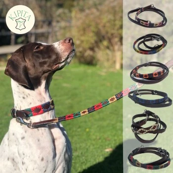 Kipita Polo Hundeleine Classic 4 Kipita Polo Hundeleine Classic – Bild 4