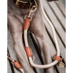 Freudentier Führleine 2m & 3-fach Verstellbar 11 Freudentier Führleine 2m & 3-fach Verstellbar -Trixie Deutschland Verkaufs-Shop f89940099070c3162adf440711f0edc5bb22072e 1496011 de DE 6c2382c9aa0f35ae5d0558378f7254aaf4412a67UPNndW