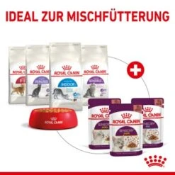 ROYAL CANIN SENSORY Feel In Soße Für Wählerische Katzen 12x85g 10 ROYAL CANIN SENSORY Feel In Soße Für Wählerische Katzen 12x85g -Trixie Deutschland Verkaufs-Shop fb0210c69e5e3e0c4d482614a5149e425b2ae562 76a6c72eee9ff76230a512b60a5a19dc127015ff