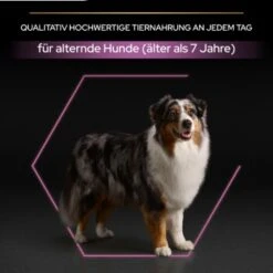 PRO PLAN Optiage Medium & Large Adult 7+ -Trixie Deutschland Verkaufs-Shop fcc43e29745bf32f501743745068b08089939a08 1206418 4