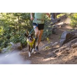 Ruffwear Trail Runner™ Leine 19 Ruffwear Trail Runner™ Leine -Trixie Deutschland Verkaufs-Shop fd7d3d8f2faefaea1b25b1fb658e0a571fc3fec8 1651448 de DE 059aee675e2089a3f3904e6bcb227b6b71f8e4a2YMTgrx