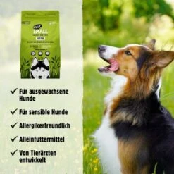 Eat Small EatSmall 2kg Active Trockenfutter -Trixie Deutschland Verkaufs-Shop fe62785e5597c5cdeada1a23a738a8b664d0d455 1397963 de DE 045556f8e417da90be61f538db133a32cf0ddbabo1aoWO