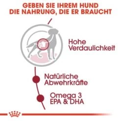 ROYAL CANIN MEDIUM Adult 10x140g -Trixie Deutschland Verkaufs-Shop fe6b640f91b67bdea30a112f4c79409a8b1d5a34 9003579008362 3