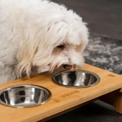 Lionto Erhöhte Futterstation Aus Bambus Braun/ Silber S -Trixie Deutschland Verkaufs-Shop ff2eba128a0d6b75a70cc824dc213b8dd85d734a 1665921 de DE e23b5a688ebe67bbe1f23e079b16083d61ef18cdlFh9kV